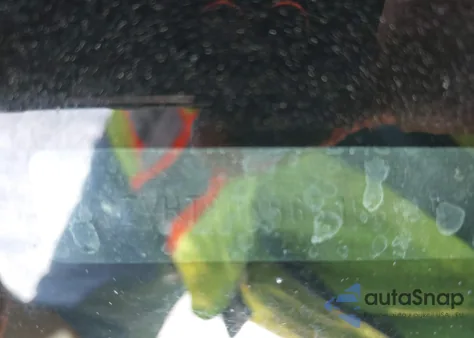 2006 Ford Mustang V6 из США, поврежденный, VIN 1ZVHT80N565158945